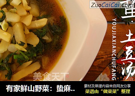 有家鲜山野菜：蛰麻土豆汤