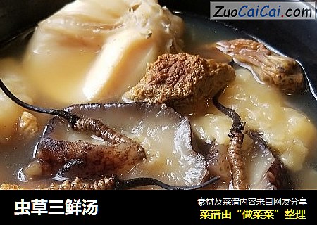 虫草三鲜汤