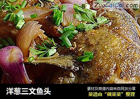 洋葱三文鱼头