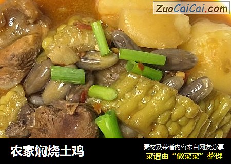 农家焖烧土鸡