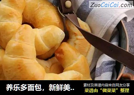 养乐多面包