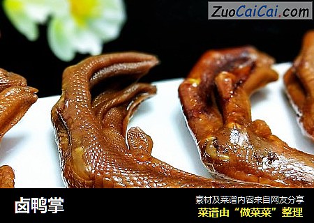 卤鸭掌