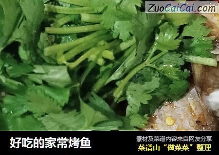 好吃的家常烤鱼