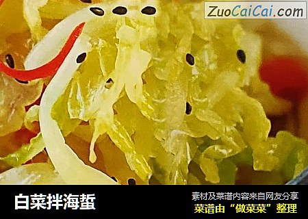 白菜拌海蜇