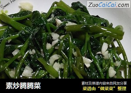 素炒腾腾菜