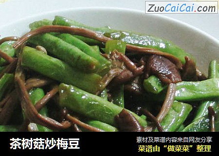 茶树菇炒梅豆