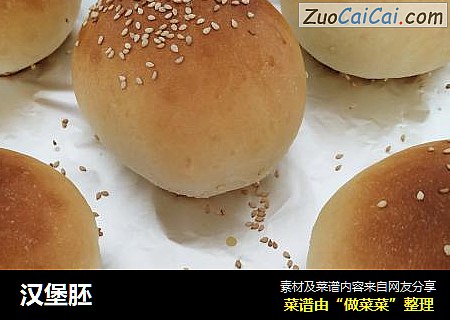 汉堡胚