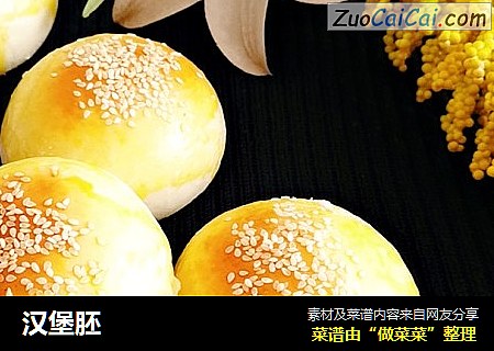汉堡胚