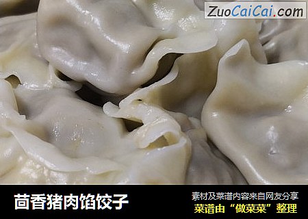 茴香猪肉馅饺子