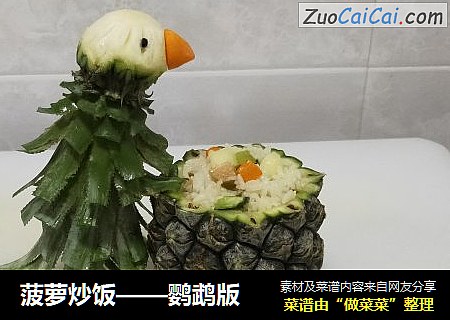 菠萝炒饭——鹦鹉版