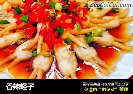 香辣蛏子