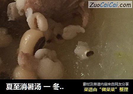 夏至消暑汤 一 冬瓜排骨汤