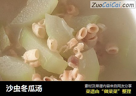 沙虫冬瓜汤