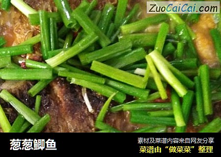 葱葱鲫鱼