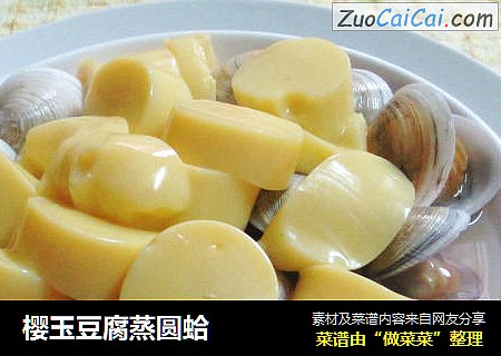 樱玉豆腐蒸圆蛤