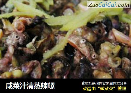 咸菜汁清蒸辣螺