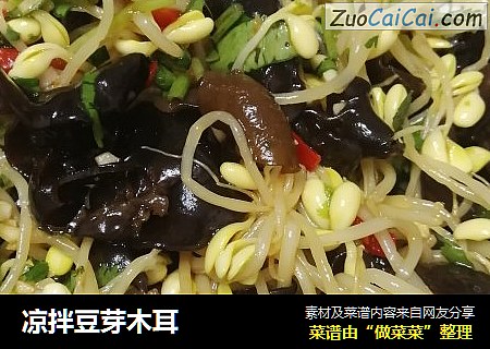 凉拌豆芽木耳