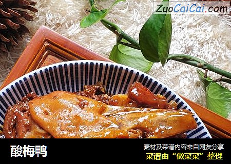 酸梅鸭
