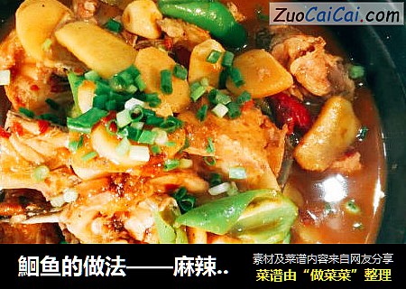 鮰鱼的做法——麻辣诱惑