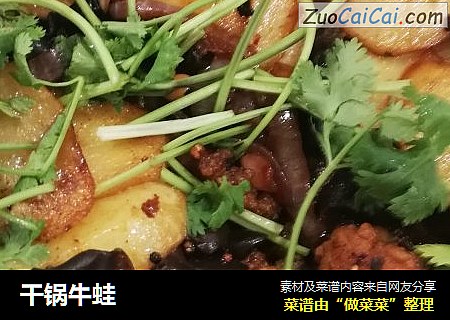 干锅牛蛙