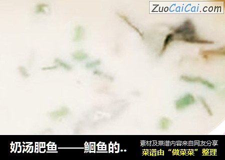 奶汤肥鱼——鮰鱼的做法