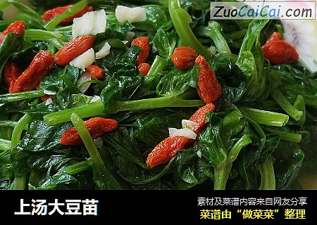 上汤大豆苗