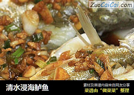 清水浸海鲈鱼