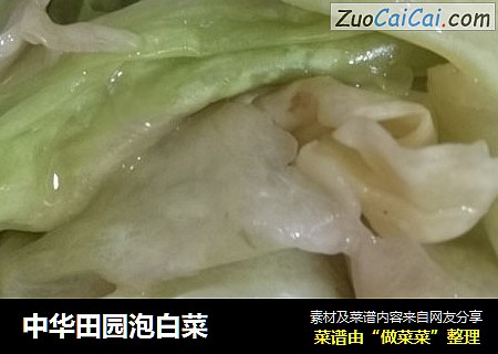 中华田园泡白菜