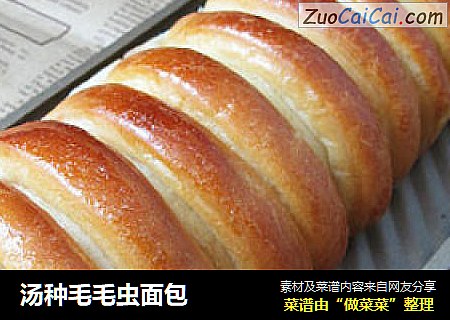 汤种毛毛虫面包