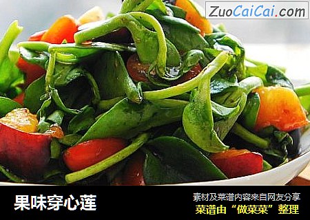 果味穿心莲