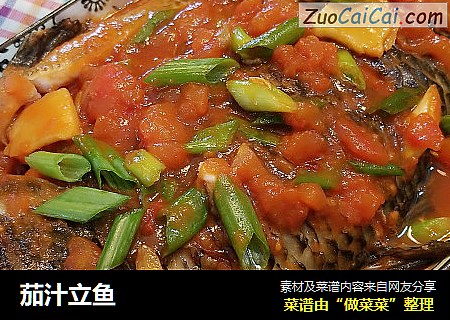 茄汁立鱼