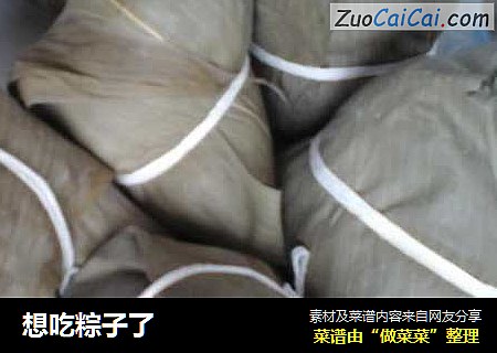 想吃粽子了