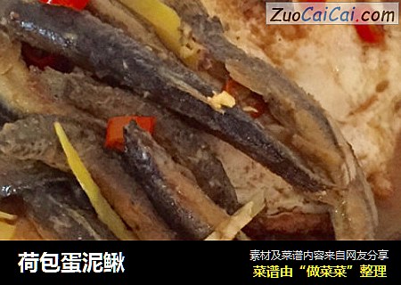 荷包蛋泥鳅