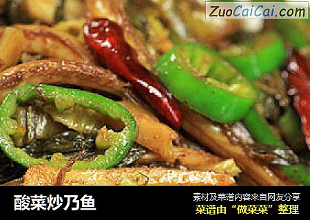酸菜炒乃鱼