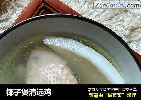 椰子煲清远鸡