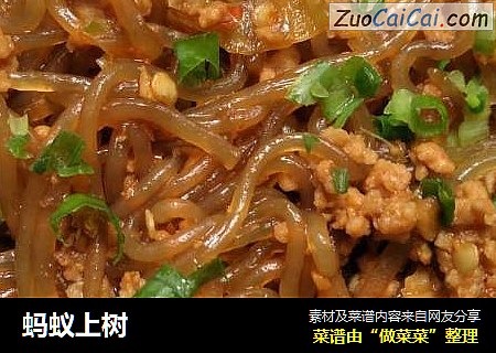 蚂蚁上树
