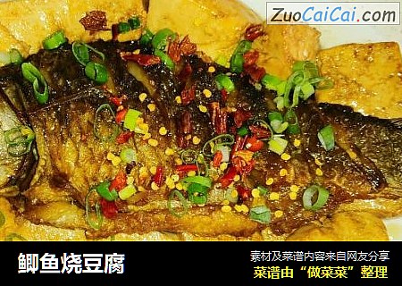 鲫鱼烧豆腐