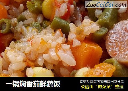 一锅焖番茄鲜蔬饭