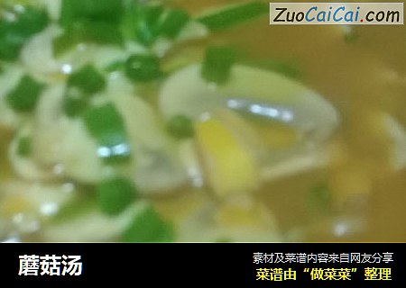 蘑菇汤