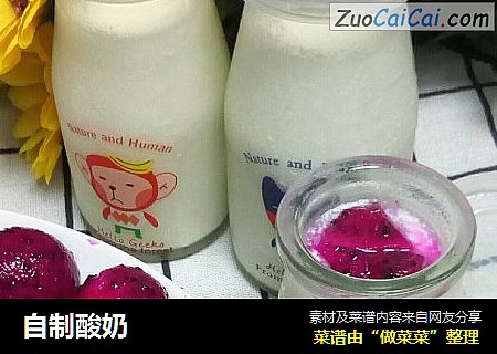 自制酸奶