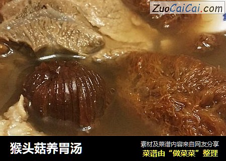 猴头菇养胃汤