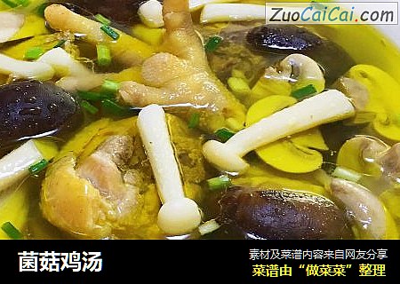 菌菇鸡汤