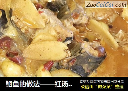 鮰鱼的做法——红汤炖肥鱼