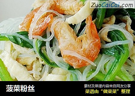 菠菜粉丝