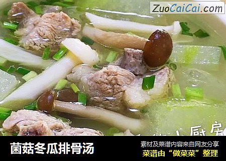菌菇冬瓜排骨汤