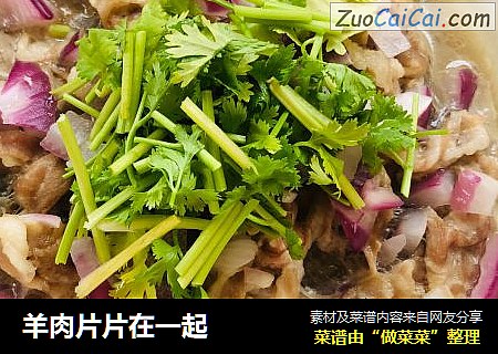 羊肉片片在一起