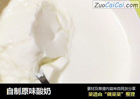 自制原味酸奶