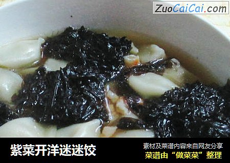 紫菜开洋迷迷饺