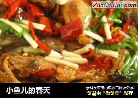 小鱼儿的春天