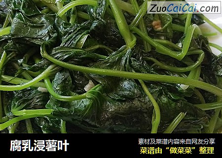 腐乳浸薯叶
